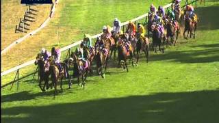 Prix de lArc de triomphe 2011  Danedream  Equidia Live [upl. by Cobbie96]