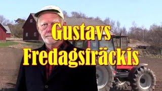 Gustav´s Fredagsfräckis [upl. by Frodi998]