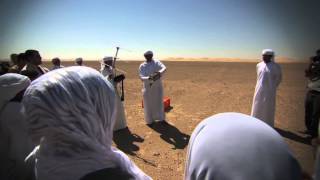 World Migratory Bird Day 2013 in Abu Dhabi IFHC Houbara Release Program [upl. by Asina627]