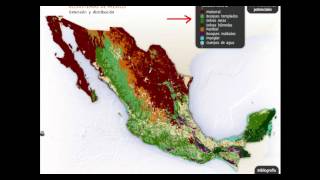 Biología P1L3 Biodiversidad causas y consecuencias de su pérdida [upl. by Prince127]