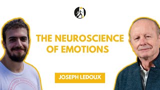 The Neuroscience of Emotions  Joseph LeDoux [upl. by Hemetaf]