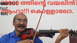 എങ്ങിനെയുണ്ട് 30000 ത്തിന്റെ വയലിൻ [upl. by Nore]