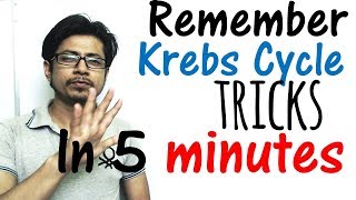 Krebs cycle trick made easy  Remember Krebs cycle in 5 minutes [upl. by Hugibert475]