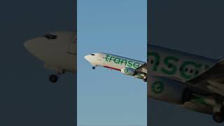 Transavia Airline Boeing 737 taking off shorts [upl. by Einnoc553]