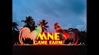 MNE Gamefarm [upl. by Nylirek]