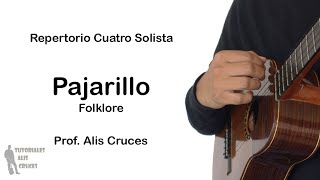 Pajarillo Cuatro Solista Prof Alis Cruces [upl. by Aehtla]