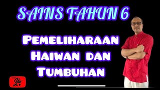 Sains Tahun 6  Pemeliharaan Haiwan dan Tumbuhan [upl. by Susumu]