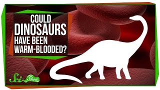 Could Dinosaurs Have Been WarmBlooded [upl. by Inverson396]