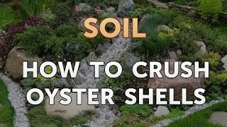 How to Crush Oyster Shells [upl. by Oigres277]