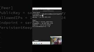 How to Setup WireGuard VPN on Rocky 9 Linux  Clip 47 [upl. by Kathie]