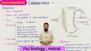 Cyanobacteria  structure and characteristics of cyanobacteria  class 11 [upl. by Imerej]