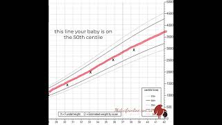 What does your babys percentile actually mean [upl. by Orferd]