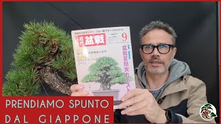 Creare ispirandosi al bonsai del Giappone M° Takashi Iura [upl. by Brunhild]