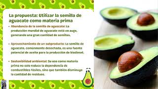 AGUACATE Solución a residuos de la cáscara y la semilla del aguacateRallyLatam2024 [upl. by Krum]