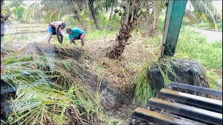 Amphibious excavator canal cleaning 👍👍 1st step [upl. by Kyriako676]