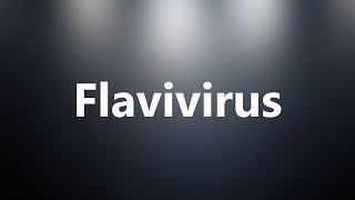 Flavivirus  Medical Meaning and Pronunciation [upl. by Yspyg718]