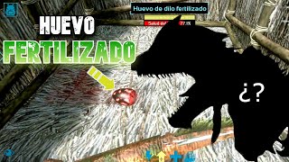 😱¡¡Huevo FERTILIZADO de DILOPHOSAURUS en ARK MOBILE  CAPÍTULO 3💙 [upl. by Edlyn]