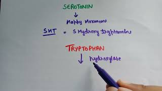 Serotonin synthesis  biosynthesis of serotonin  metabolism of tryptophan  5 hydroxytryptamine [upl. by Pierre]