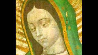 The Amazing and Miraculous Image of Our Lady of Guadalupe full length [upl. by Adella]