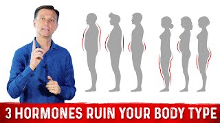 DrBerg explains 3 Hormones that Affect your Body Shape amp Weight Loss [upl. by Aseela445]