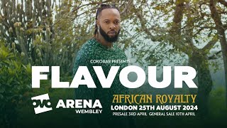 FLAVOUR THE CONCERT OVO ARENA WEMBLEY 2024 FULL CONCERT [upl. by Dot598]