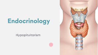 Endocrinology  Hypopituitarism [upl. by Cinda]