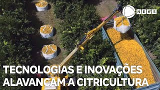 Tecnologias e inovações alavancam citricultura [upl. by Lorre832]