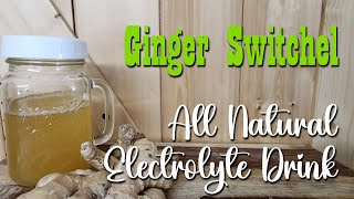 Ginger Switchel  All Natural Electrolyte Drink [upl. by Gathers]