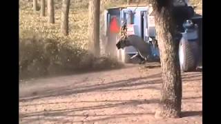 Pecan Harvest using Weiss McNair machines [upl. by Jourdain893]