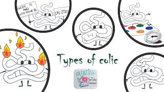 Types of colic in horses  Vet students [upl. by Lanza]