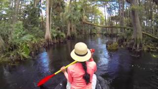 Florida River Bend Park Kayaking2015 [upl. by Urbain]