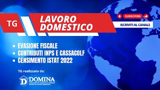 TG LAVORO DOMESTICO 180124 [upl. by Stalker]