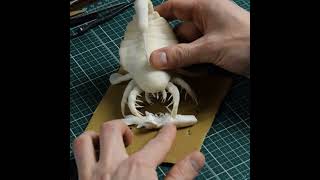 Making a Sea Scorpion Diorama shorts seascorpion diorama dinosaurdiorama [upl. by Aneloc]