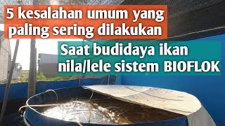 5 KESALAHAN UMUM YANG SERING DILAKUKAN PEMBUDIDAYA IKAN NILALELE SISTEM BIOFLOK [upl. by Koloski]