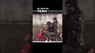 Dog driving a motorcycle trendingvideo funny musicgenre [upl. by Ecilahc]