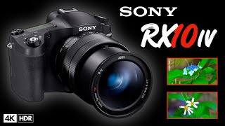 Is the Sony RX10 IV any good for video in 2024 [upl. by Rochester]