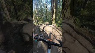 Excellent trails at Tennant mtb pnw pov bike mountainbike mountains [upl. by Plath659]