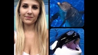 ★ Vlog  Une journée a Marineland ★ [upl. by Lind]