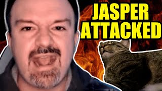 DSP ATTACKS His Cat Jasper LIVE ON STREAM Caught in 4K [upl. by Onailime]