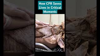 How CPR Saves Lives in Critical Moments knowledge heartanatomy [upl. by Merralee]