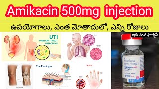 amikacin 500mg injection in telugu  uses sideeffects dosedosage  unimika500mg injection [upl. by Enniroc119]