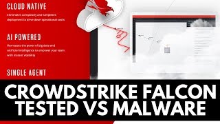 Crowdstrike Falcon Review  Tested vs Malware [upl. by Nnyrb]