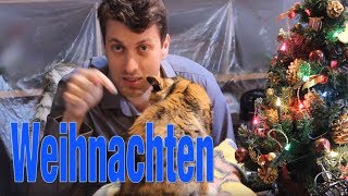 Schöne Weihnachtsgrüße  Ausblick 2017  Spezialgast Lissi [upl. by Ttihw]