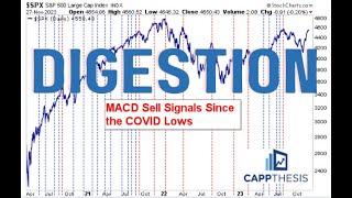 The Stock Markets Calm after the Storm [upl. by Etnahsal]