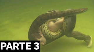 ATAQUES DE ANACONDAS EM HUMANOS PARTE 3 [upl. by Trstram544]