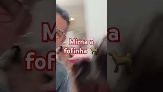 Mirna a fofinha [upl. by Maggi]