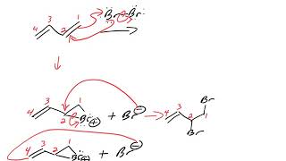 Br2 addition to a conjugated diene12 and 14 conjugate addition reactions [upl. by Chick277]