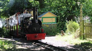 Ivor the engine visits the South Downs light railway 06072024 [upl. by Leeland738]