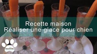 Glace pour chien maison  Assur OPoil [upl. by Sukcirdor]