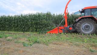 Row Independent Maize Chopper  Fimaks [upl. by Trefler]